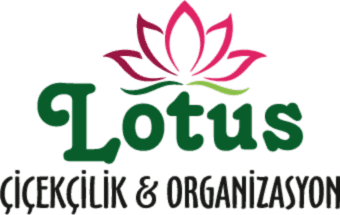 Mersin Mezitli Çiçekçilik - Lotus Çiçekçilik